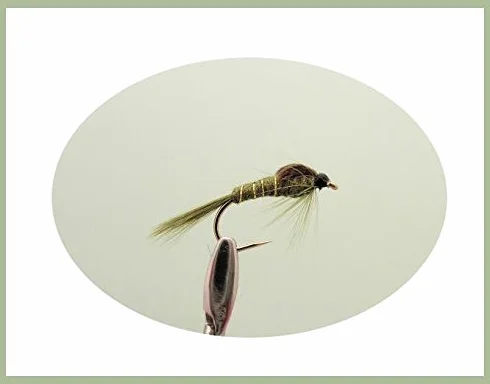 Lot de 50 mouches nymphes olives pour pêche à la mouche