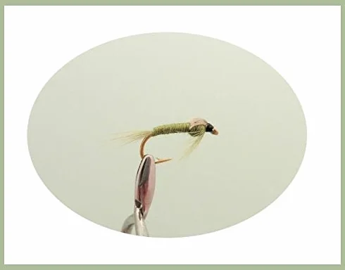 Lot de 50 mouches nymphes olives pour pêche à la mouche